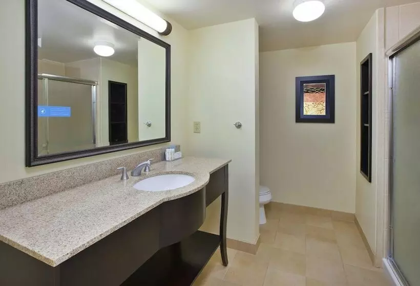 اتاق استاندارد با تخت بزرگ, Hampton Inn & Suites Plattsburgh