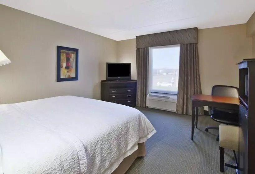 اتاق استاندارد با تخت بزرگ, Hampton Inn & Suites Plattsburgh