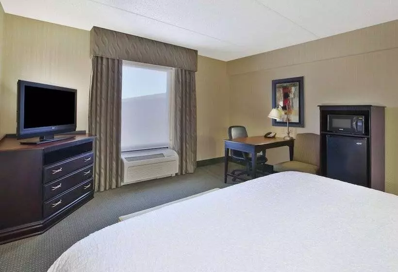 اتاق استاندارد با تخت بزرگ, Hampton Inn & Suites Plattsburgh