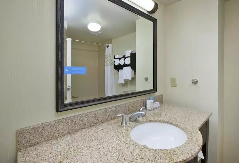 اتاق استاندارد با تخت بزرگ, Hampton Inn & Suites Plattsburgh