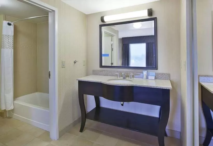 استودیو استاندارد با تخت کینگ, Hampton Inn & Suites Plattsburgh
