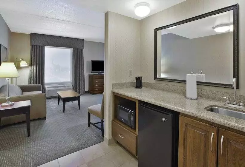 استودیو استاندارد با تخت کینگ, Hampton Inn & Suites Plattsburgh