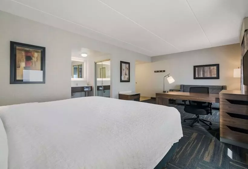 استودیو استاندارد با تخت کینگ, Hampton Inn & Suites Plattsburgh