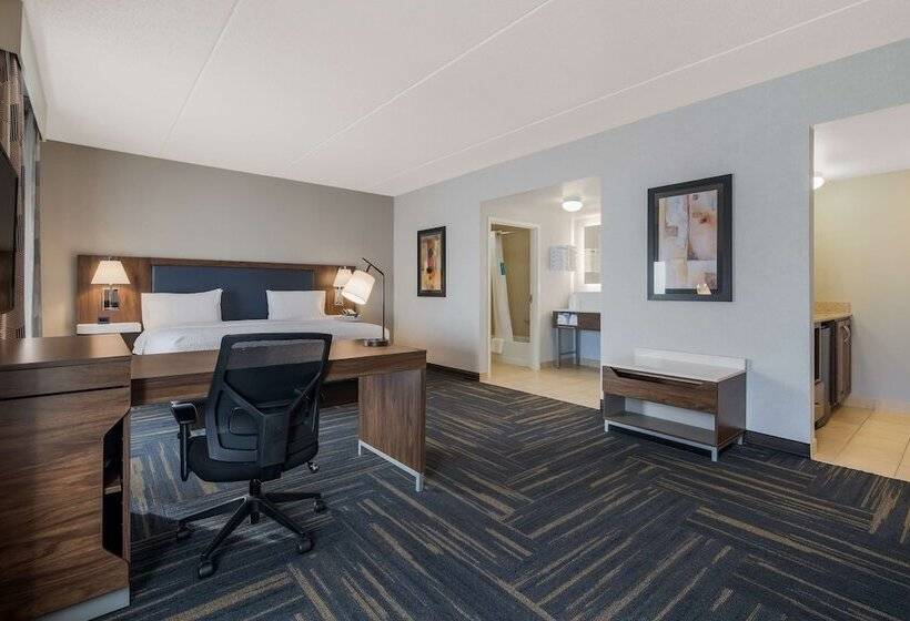 إستوديو قياسى سرير كينج, Hampton Inn & Suites Plattsburgh