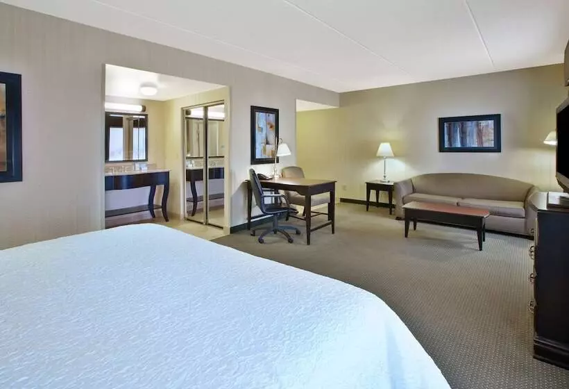 استودیو استاندارد با تخت کینگ, Hampton Inn & Suites Plattsburgh