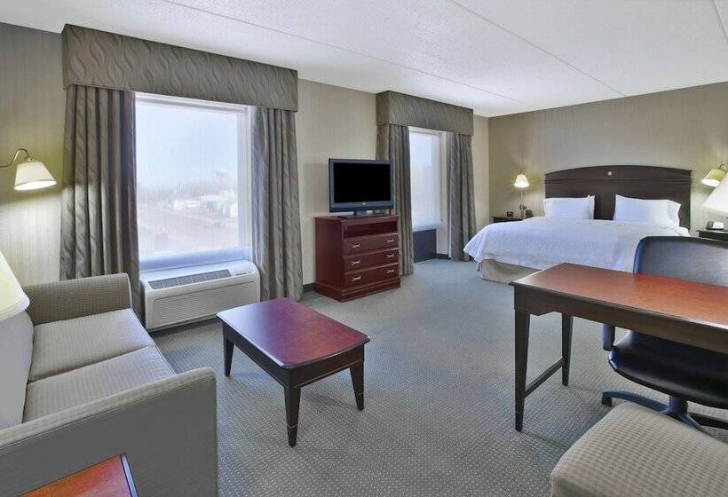إستوديو قياسى سرير كينج, Hampton Inn & Suites Plattsburgh