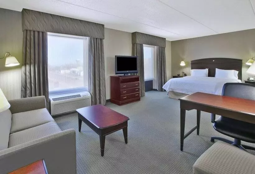 استودیو استاندارد با تخت کینگ, Hampton Inn & Suites Plattsburgh