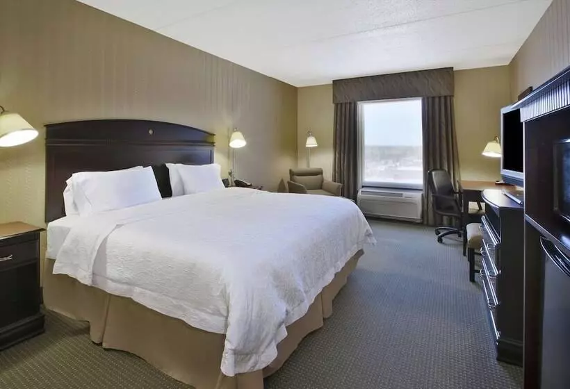 اتاق استاندارد با تخت بزرگ, Hampton Inn & Suites Plattsburgh