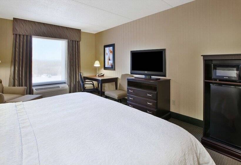غرفة قياسية سرير كينج, Hampton Inn & Suites Plattsburgh