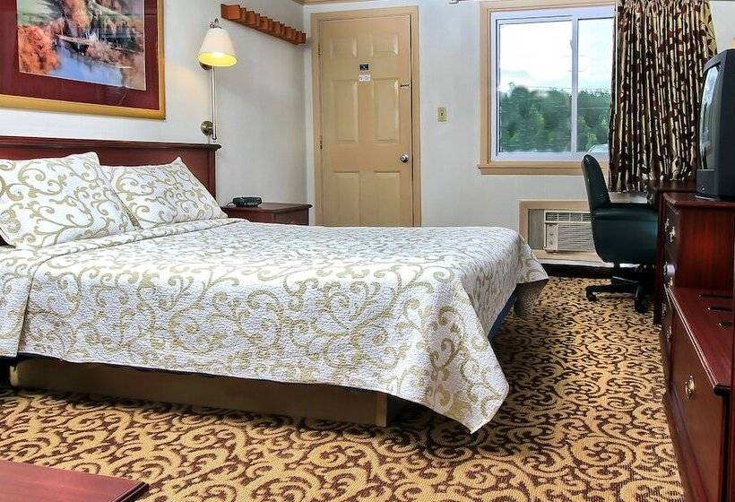 스탠다드 룸, Happy Bear Motel