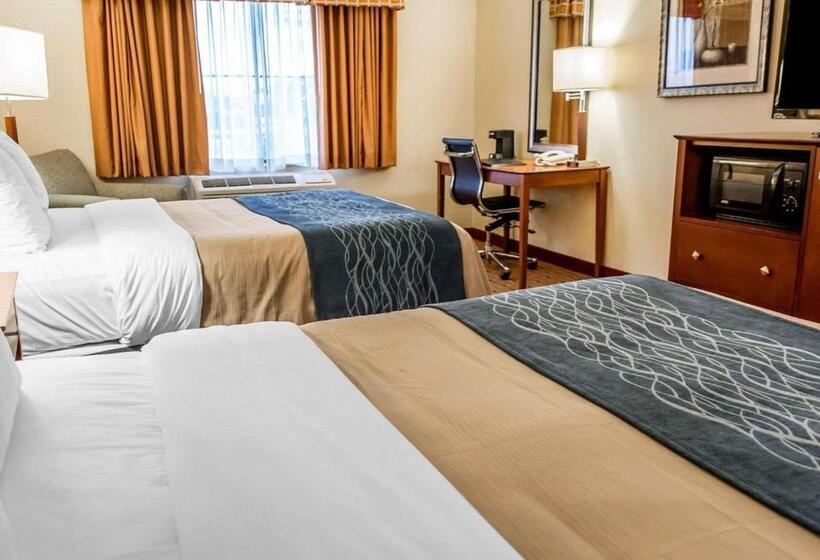 스탠다드 룸, Comfort Inn & Suites Franklin East