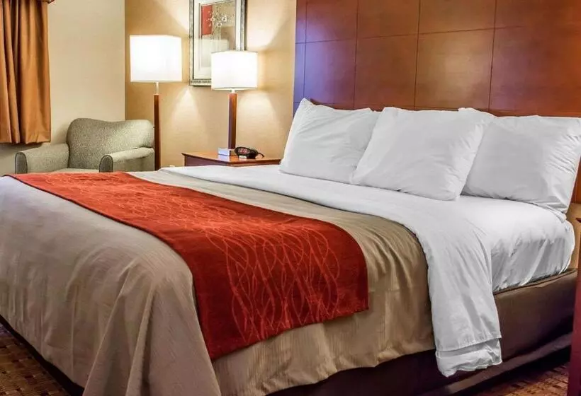 キングサイズベッドのスタンダードルーム, Comfort Inn & Suites Franklin East