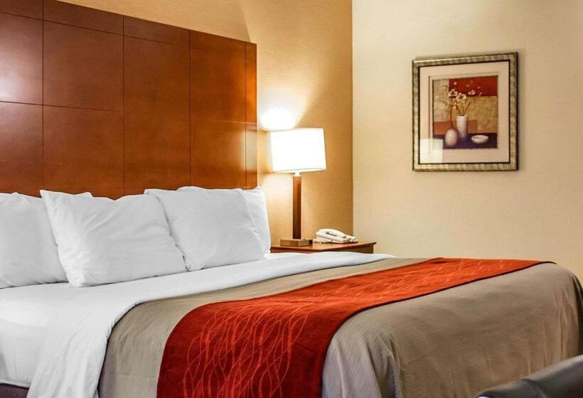 带大床的标准间, Comfort Inn & Suites Franklin East