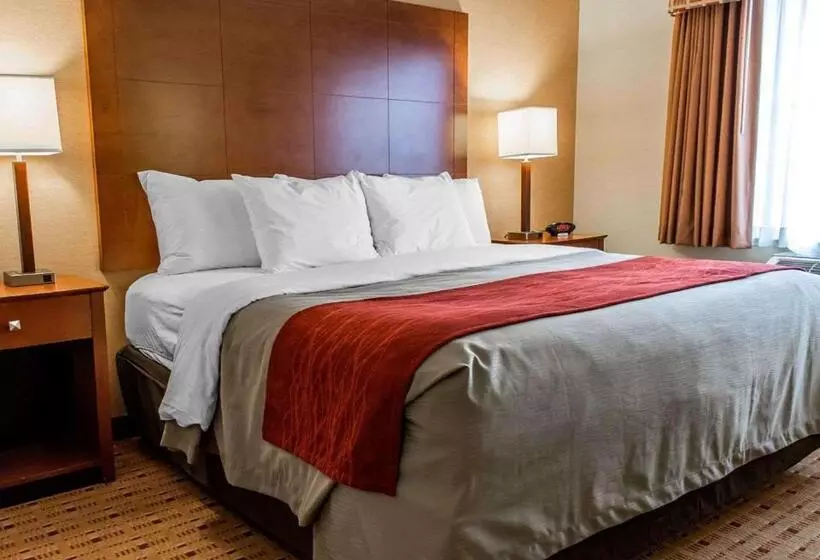 キングサイズベッドのスイートルーム, Comfort Inn & Suites Franklin East