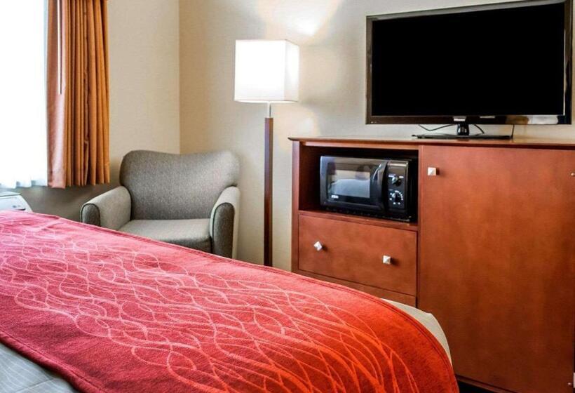 장애인을 위한 킹사이즈 침대 스탠다드 룸, Comfort Inn & Suites Franklin East