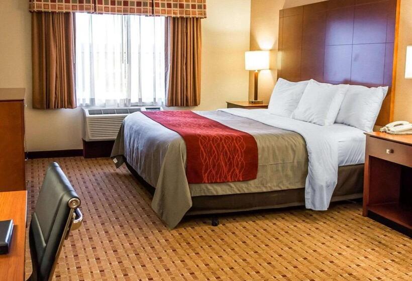 适合残疾人士使用的带超级大床的标准间, Comfort Inn & Suites Franklin East