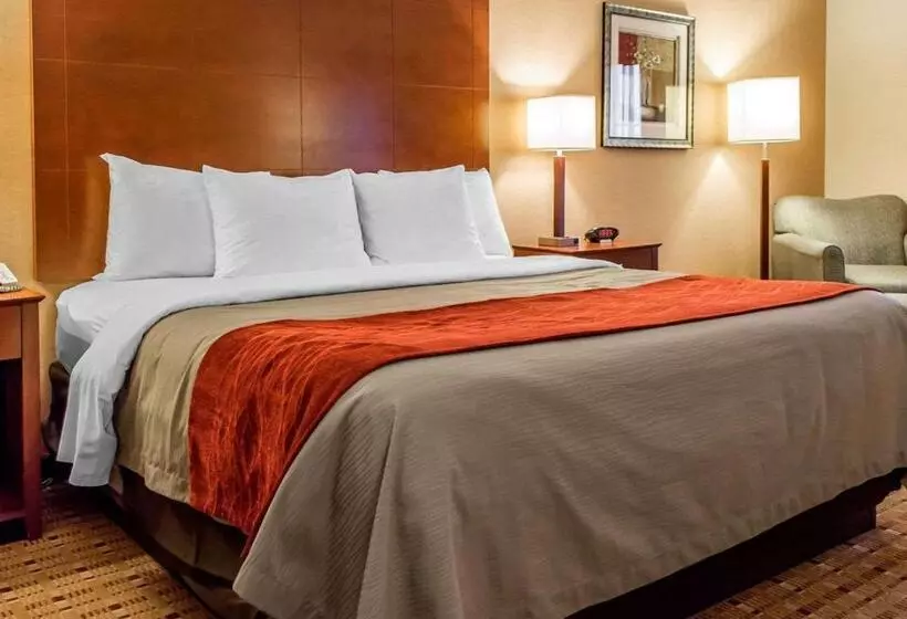 身障者適用キングサイズベッドルーム, Comfort Inn & Suites Franklin East