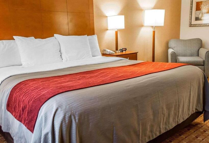 장애인을 위한 킹사이즈 침대 스탠다드 룸, Comfort Inn & Suites Franklin East
