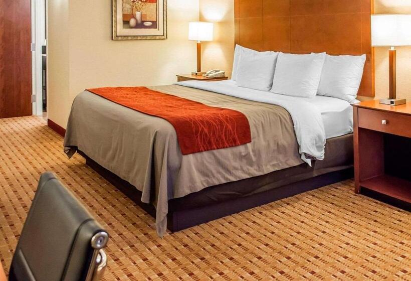 适合残疾人士使用的带超级大床的标准间, Comfort Inn & Suites Franklin East