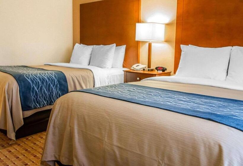 장애인을 위한 스탠다드 룸, Comfort Inn & Suites Franklin East