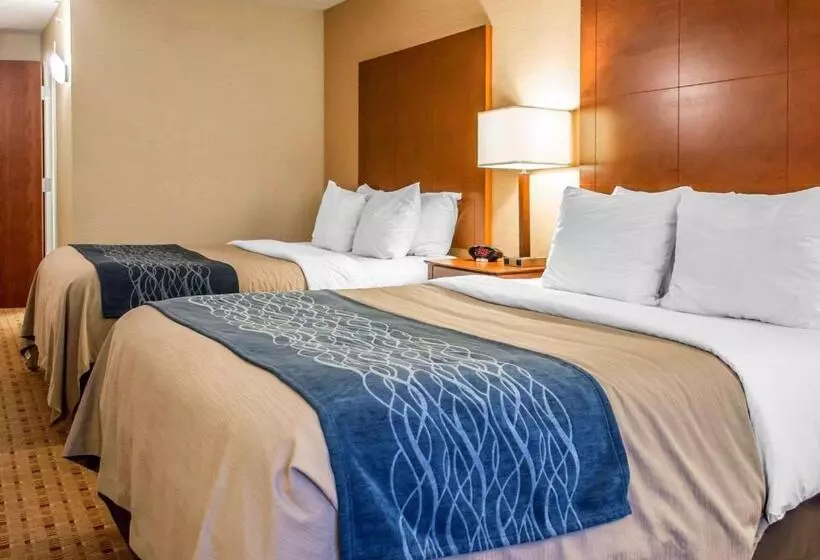身障者適用スタンダードルーム, Comfort Inn & Suites Franklin East