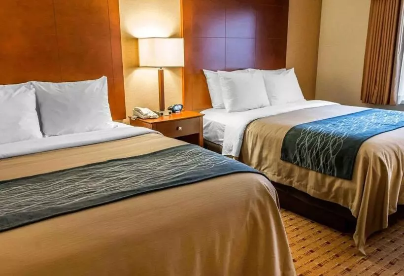 身障者適用スタンダードルーム, Comfort Inn & Suites Franklin East