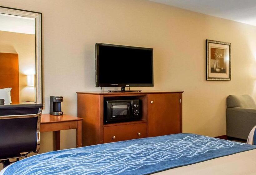 장애인을 위한 스탠다드 룸, Comfort Inn & Suites Franklin East