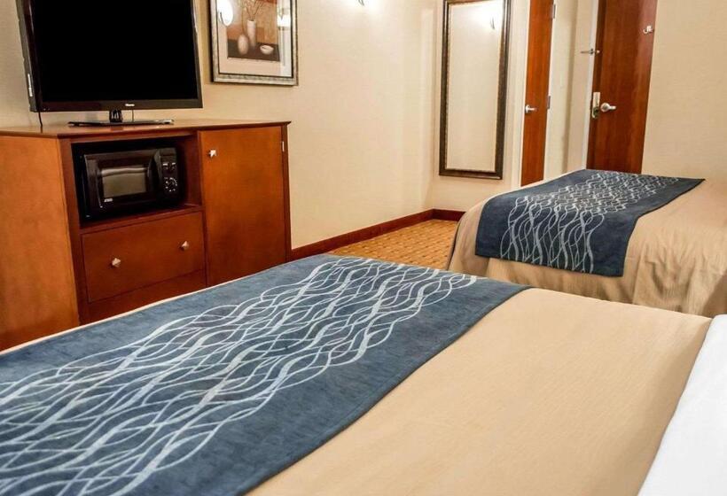 适合残疾人使用的标准间, Comfort Inn & Suites Franklin East