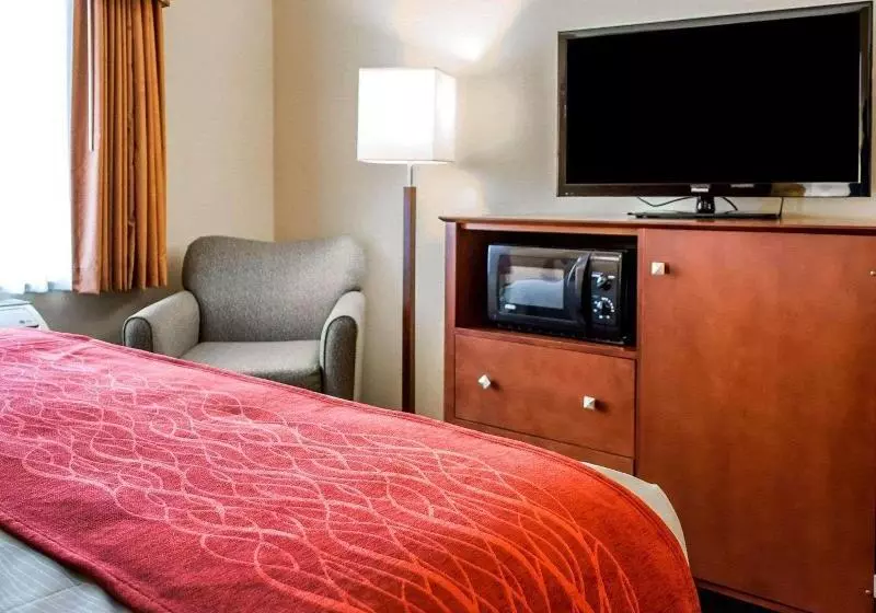 キングサイズベッドのスタンダードルーム, Comfort Inn & Suites Franklin East
