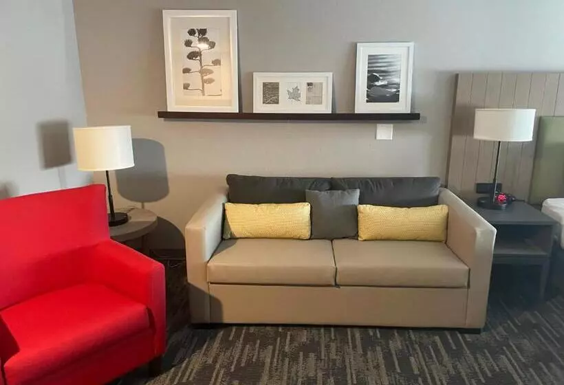 プレミアムスイート, Country Inn & Suites By Radisson, Madison, Wi