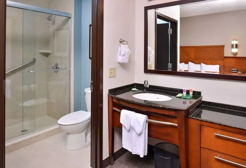キングサイズベッドのスタンダードルーム, Hyatt Place Garden City