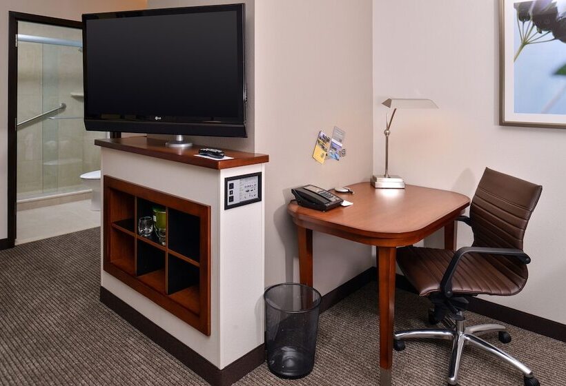 غرفة قياسية سرير كينج, Hyatt Place Garden City