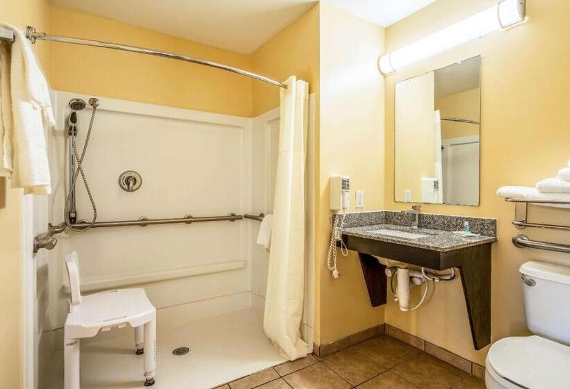 إستوديو قياسى, Suburban Studios Near Camp Lejeune