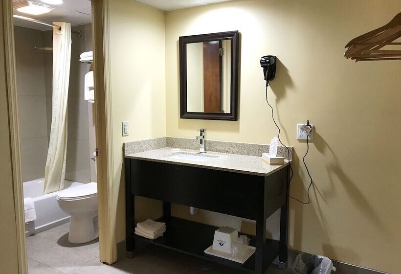 스탠다드 룸 더블 침대 2개, Soudersburg Inn & Suites Lancaster