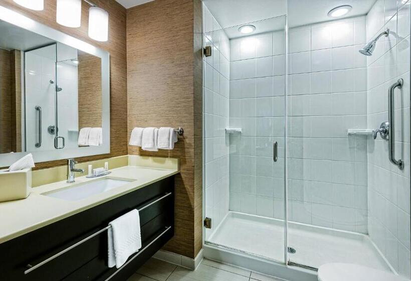 带大床的标准工作室, Towneplace Suites By Marriott San Antonio Downtown Riverwalk