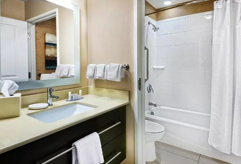 スタンダードスタジオ, Towneplace Suites By Marriott San Antonio Downtown Riverwalk