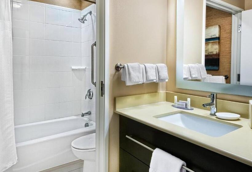 标准工作室, Towneplace Suites By Marriott San Antonio Downtown Riverwalk