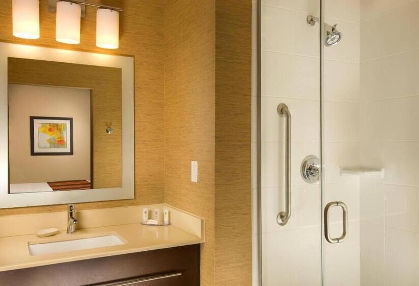 带大床的套房, Towneplace Suites By Marriott San Antonio Downtown Riverwalk