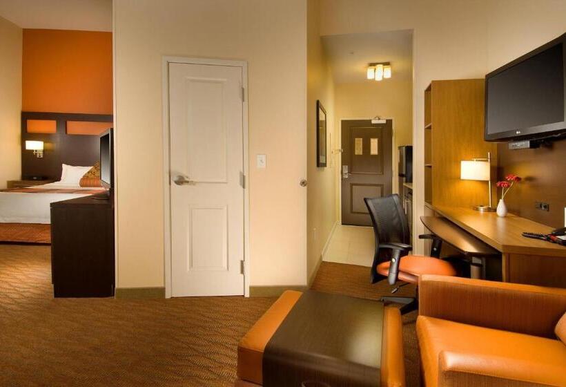 带大床的套房, Towneplace Suites By Marriott San Antonio Downtown Riverwalk