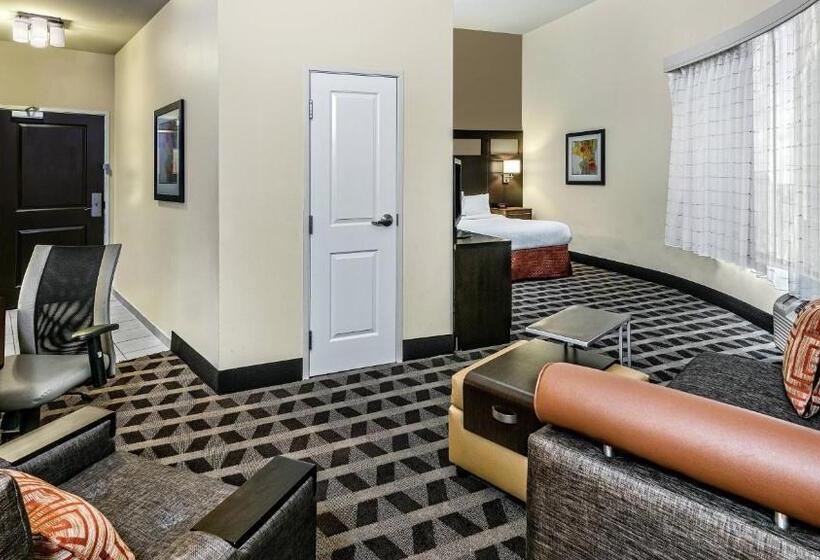 带大床的套房, Towneplace Suites By Marriott San Antonio Downtown Riverwalk