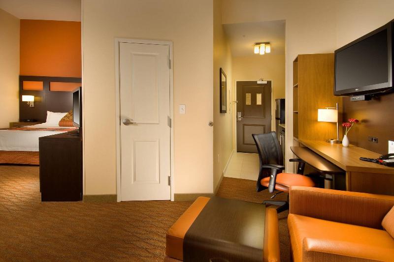 带大床的套房, Towneplace Suites By Marriott San Antonio Downtown Riverwalk