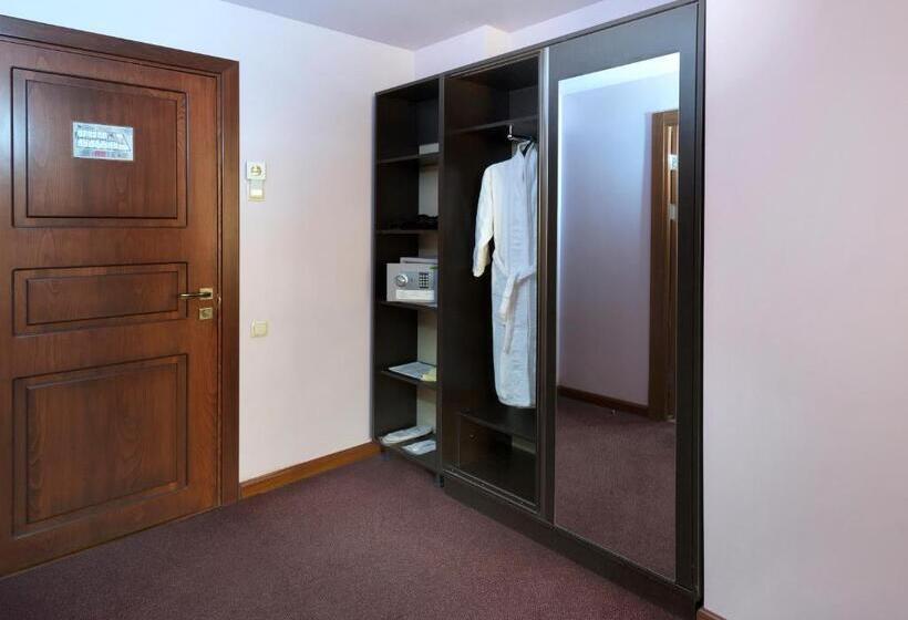 수피리어 룸, Ani Central Inn