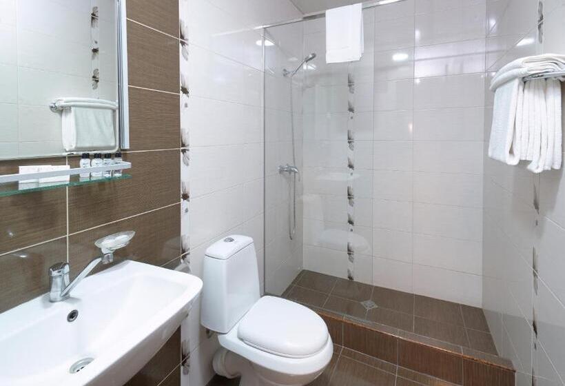 스탠다드 싱글 룸, Ani Central Inn