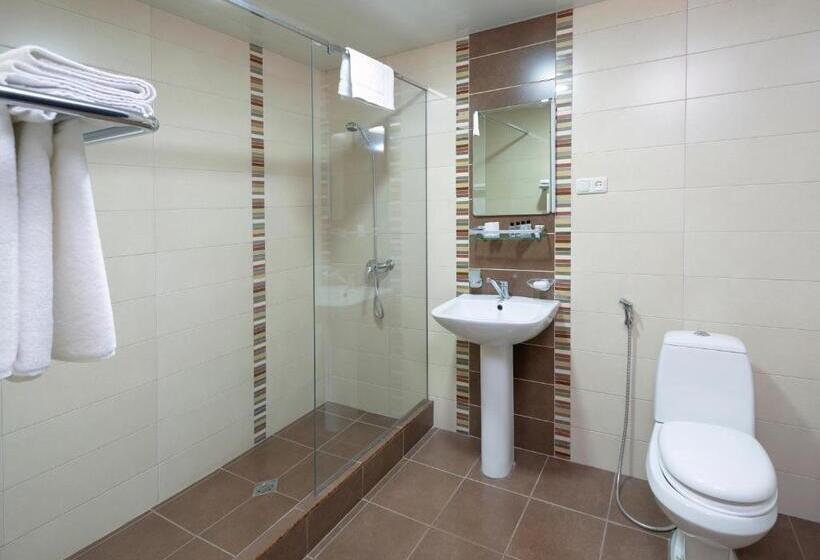 스탠다드 룸, Ani Central Inn