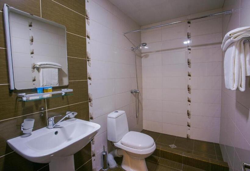 اتاق استاندارد, Ani Central Inn