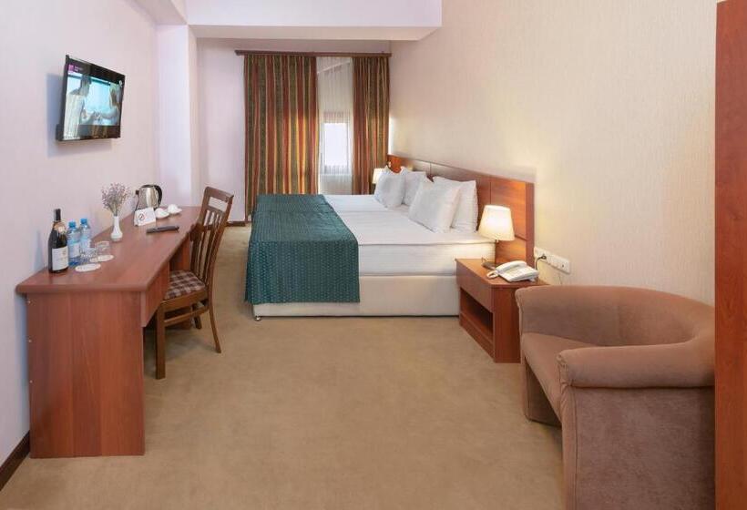 اتاق استاندارد, Ani Central Inn