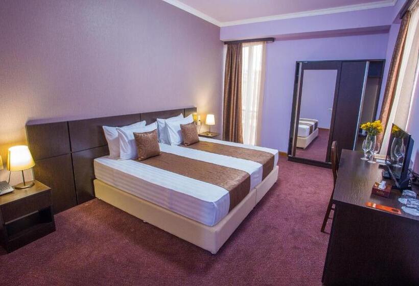 디럭스 룸, Ani Central Inn