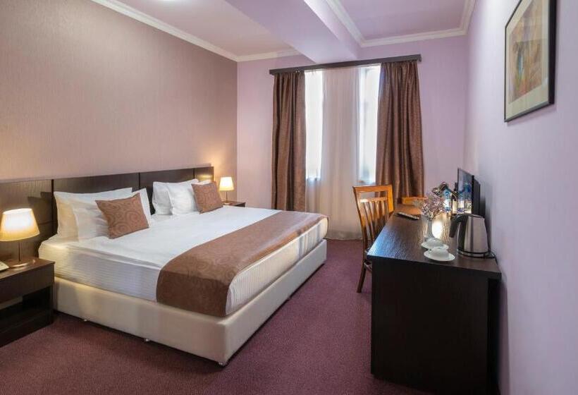 싱글 디럭스 룸, Ani Central Inn