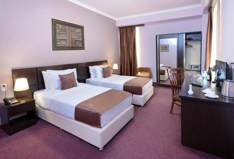 اتاق لوکس یک تخته, Ani Central Inn
