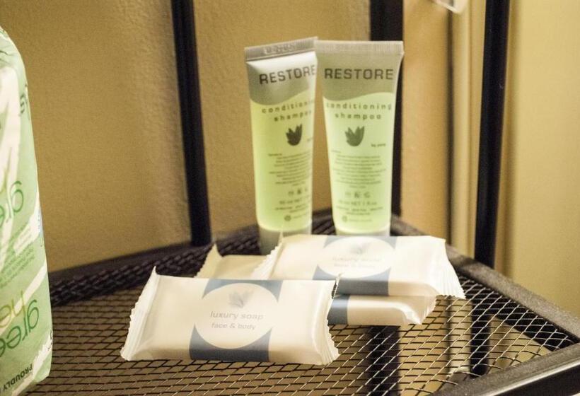 غرفة قياسية, Boardwalk Hotel Charlee & Apartments Beach Hotel Oceanfront